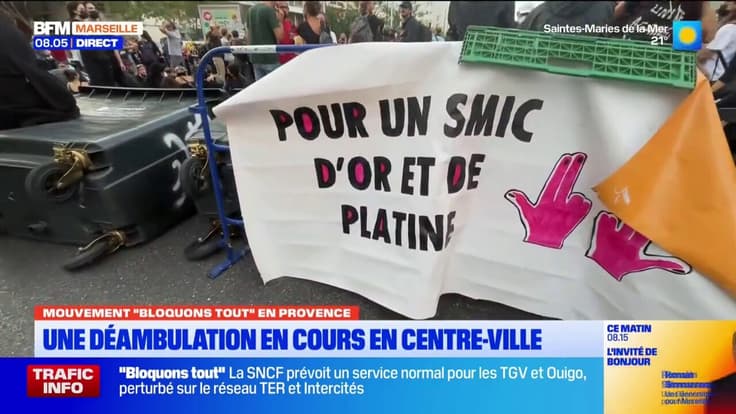 Mouvement "Bloquons tout" en Provence : le cortège statique.
