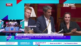 Une "bordélisation" de l'Assemblée nationale : "J'ai très peur pour mes enfants " affirme Laurent en sanglotant ! 