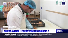 Face à l'épidémie de grippe aviaire, certains Provençaux s'inquiètent