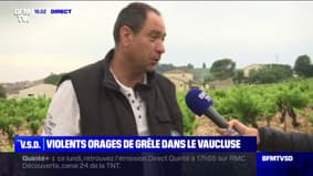 Violent orages dans le Vaucluse: les vignerons inquiets pour leurs récoltes