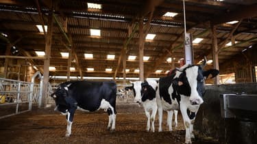 La baisse de la consommation et la concurrence européenne expliquent en partie la crise du secteur
