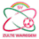 SV Zulte Waregem