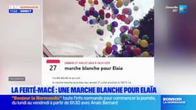 Orne: une marche blanche organisée à La Ferté-Macé samedi en hommage au bébé retrouvé mort