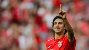 Joao Felix