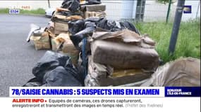 Yvelines: 5 suspects mis en examen après une saisie de cannabis