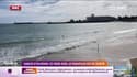 Sables d'Olonne : ce week-end, le parapluie est de sortie 