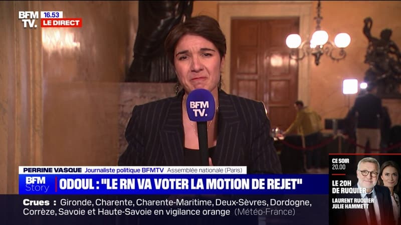 Loi immigration: le Rassemblement national va voter la motion de rejet du texte selon Julien Odoul (député RN de l'Yonne)