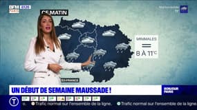 Météo Paris-Ile de France du 3 février: Un début de semaine maussade !