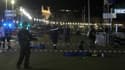 Le 14 juillet, alors que 30.000 personnes se trouvaient sur la Promenade des Anglais à Nice, un camion a frappé la foule