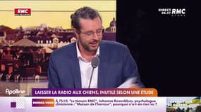 Les histoires de Charles : Chien et Radio
