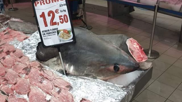 Le requin-renard vendu il y a quelques jours dans l'Intermarché d'Argelès.