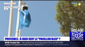 Bouches-du-Rhône: à quoi sert le "pavillon bleu"? 