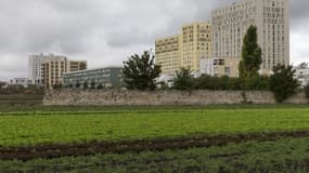 La cité du Clos-Saint-Lazare à Stains (illustration).