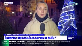 Essonne: des sapins de Noël de la mairie d'Etampes volés