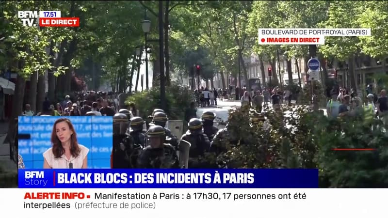 Retraites: 17 interpellations dans la manifestation à Paris