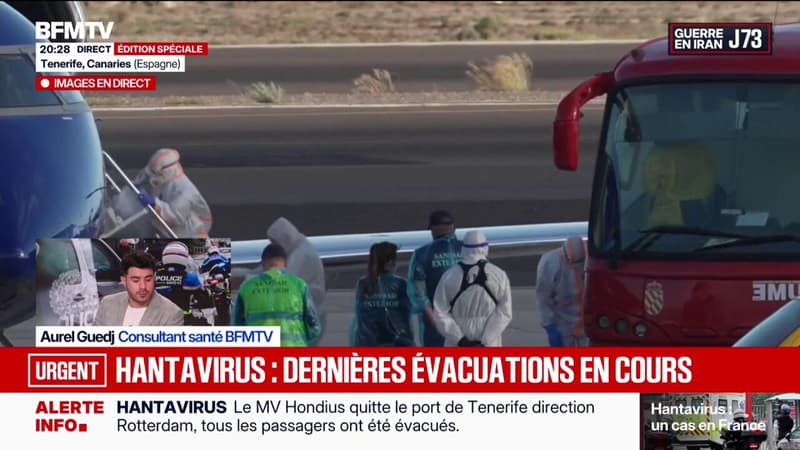 Questions des Français sur l'hantavirus: Y a-t-il des personnes à risque ?