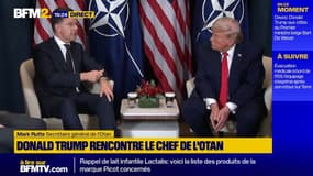 Si les États-Unis étaient attaqués, les Européens "viendront à son secours", assure le chef de l'Otan à Donald Trump