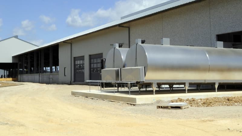 A Abbeville, une partie de la controversée "ferme des mille vaches".