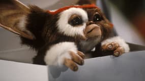 Gizmo, le gentil Mogwaï dans "Gremlins"