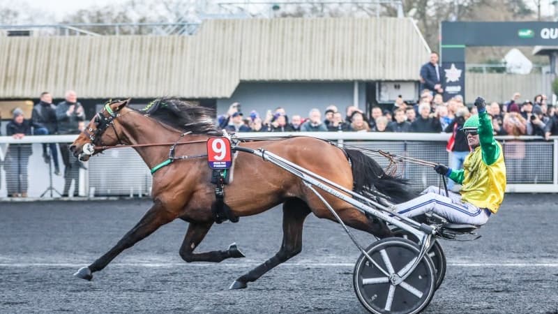 Face Time Bourbon ne sera pas au départ du Prix d'Amérique 2022