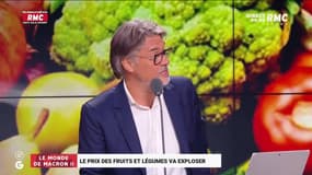 Le monde de Macron : Brigitte Autran, une nouvelle présidente à la tête du conseil scientifique - 17/08