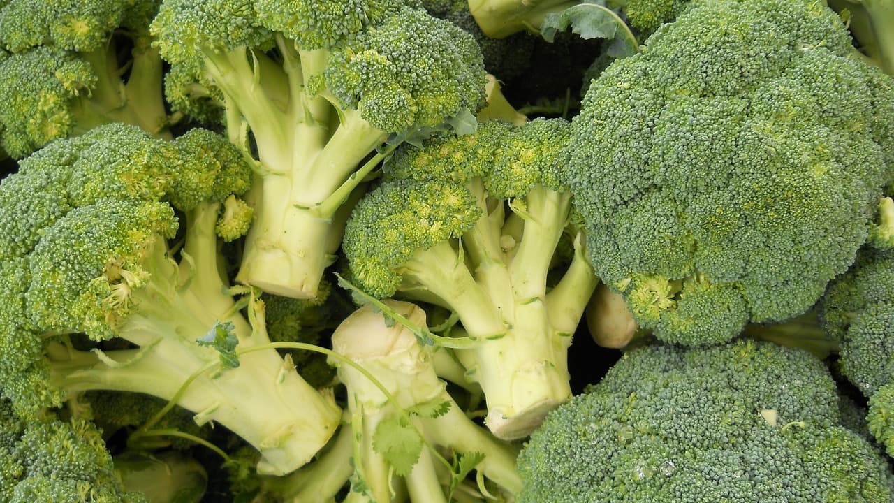 Brocolis, choux-fleurs Face aux maladies de l'hiver, les légumes  crucifères seraient nos meilleurs alliés