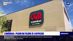 Cinémas : plein de films à l'affiche 