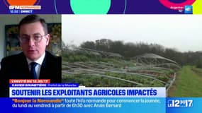 Tempête Ciarán: un an après, le monde agricole très touché