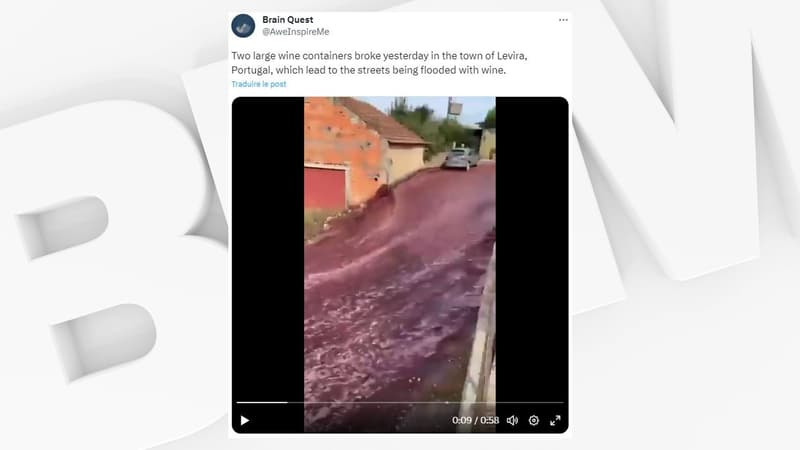 Portugal: impact sur l'environnement limité pour un village inondé par un torrent de vin