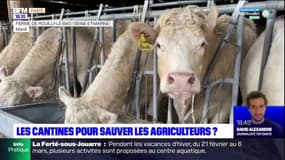Île-de-France: les cantines pour sauver les agriculteurs?