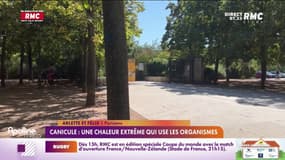 Canicule : une chaleur extrême qui use les organismes 
