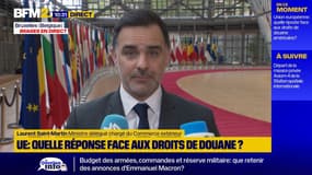 Droits de douane américains: l'Europe doit "montrer sa capacité de riposte", selon Laurent Saint-Martin