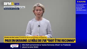 Plan de paix pour l'Ukraine: l'UE exige "le retour de chaque enfant ukrainien enlevé par la Russie"