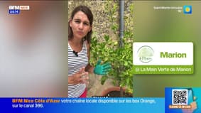 Jardinage & Flûte enchantée - La météo de Colas du mardi 30 septembre 2025 