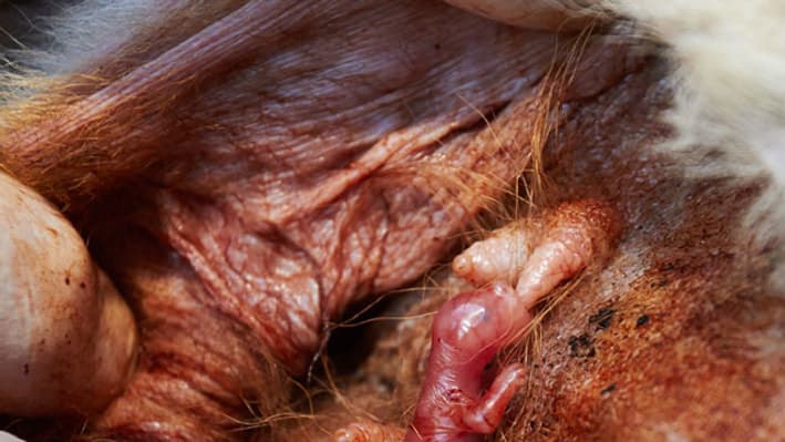 Une toute petite surprise 