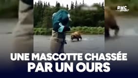Une mascotte chassée par un grizzly