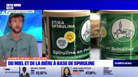 Planète locale : Quelques conseils pour cultiver la spiruline