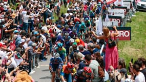 Les coureurs sur la 15e étape du Giro, le 25 mai 2025