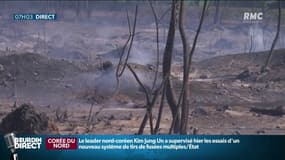 Sécheresse et incendies: "Une année horrible pour l'élevage et l'agriculture dans son ensemble" estime Christiane Lambert, présidente de la FNSEA