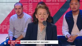 "A l’horizon  2050, la planète pourrait brûler" alerte Joëlle Zask, philosophe