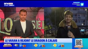 On a Rendez-Vous: le varan a rejoint le dragon à Calais
