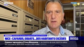 Nice: cafard, squats... les habitants excédés par plusieurs nuisances