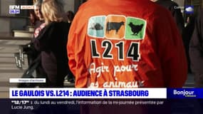 Strasbourg: la justice va se prononcer sur les actions de L214 contre Le Gaulois