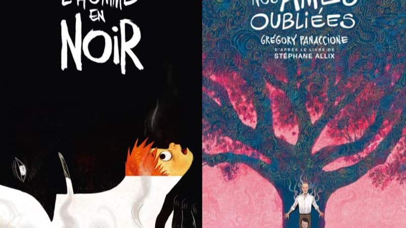 Les couvertures de deux albums de BD de Grégory Panaccione Les couvertures de deux albums de BD de Grégory Panaccione