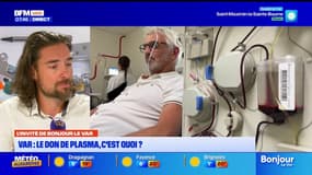 Quelle est la différence entre le don du sang et le don de plasma ? La réponse de notre invité 
