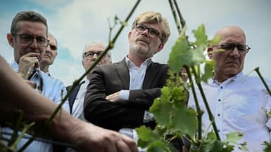Le ministre de l'Agriculture et de la Souveraineté alimentaire français Marc Fesneau (c) écoute un viticulteur dont des parcelles ont été touchées par la grêle à Castelnau d'Auzan Labarrère, dans le Gers, le 6 juin 2022