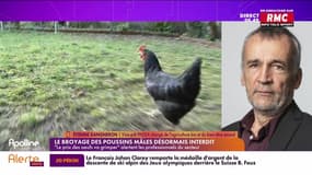 On peut tout dire sur RMC : Le broyage des poussins mâles désormais interdit - 07/02
