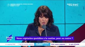 "Il faut baisser notre consommation de viande, pour notre santé et la planète": s'il est élu, Eric Piolle mettra en place le plat végétarien quotidien à la cantine