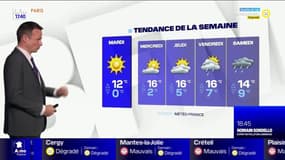 Météo Paris-Ile de France du 7 mars: Un très beau soleil d'hiver cet après-midi