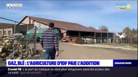 Île-de-France: l'inquiétude des agriculteurs face à la flambée des coûts de production